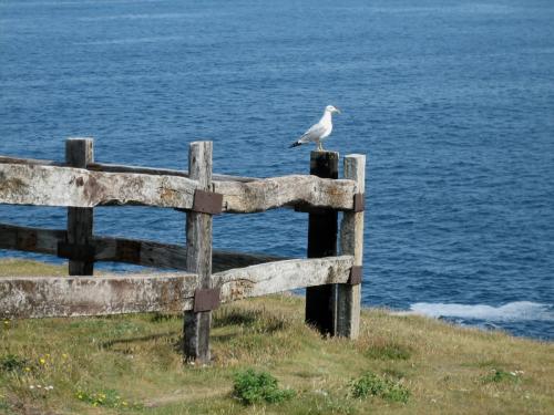 Punta do Seixo Branco, Costa do Dexo. Oleiros (A Coruña)